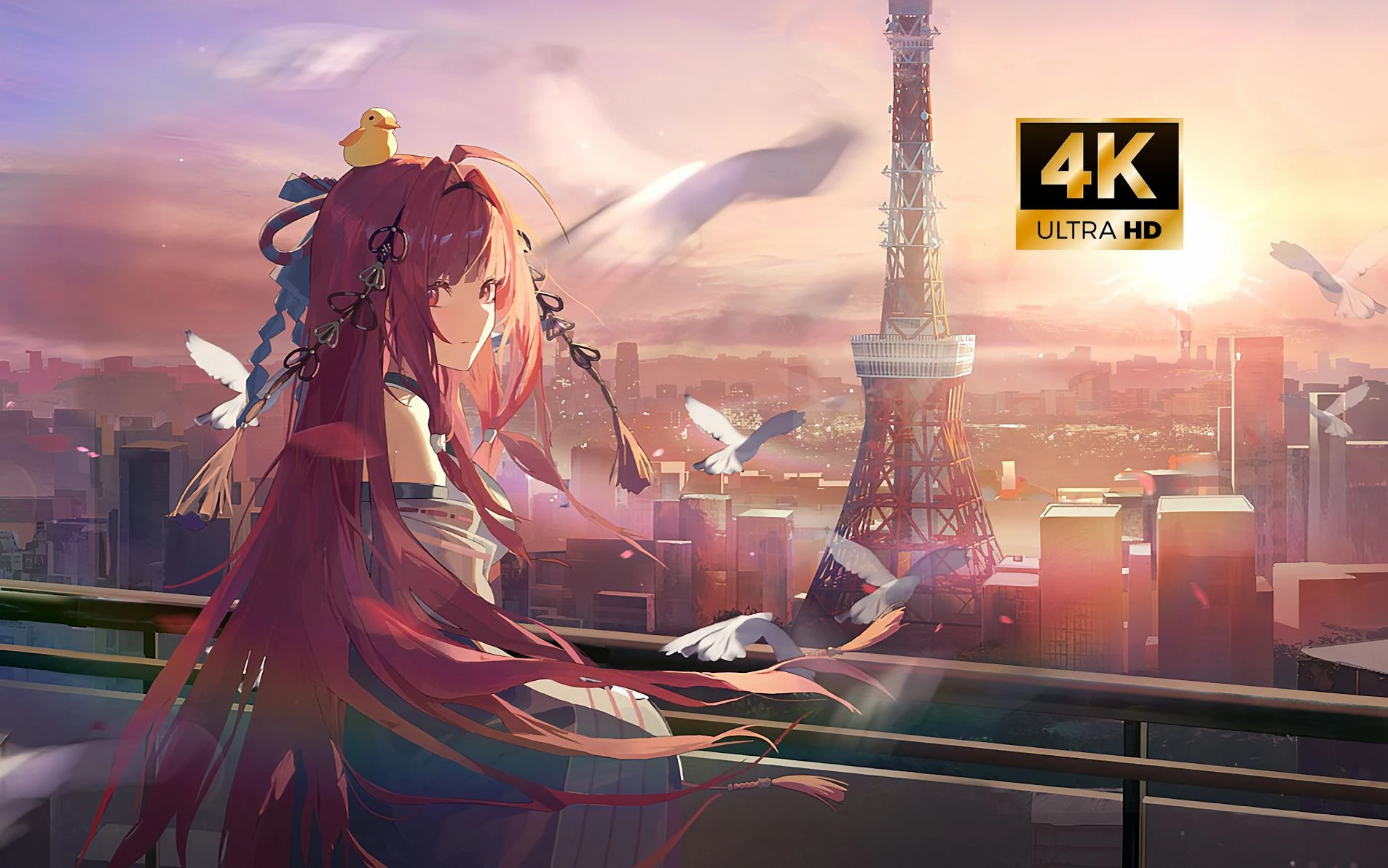 Banner image of the blog